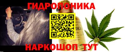 винт Гусь-Хрустальный