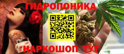 круглые Гусев